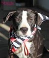 Maggie Shirley *LOCAL* MEET ME!
