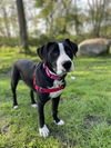 Maggie Shirley *LOCAL* MEET ME!