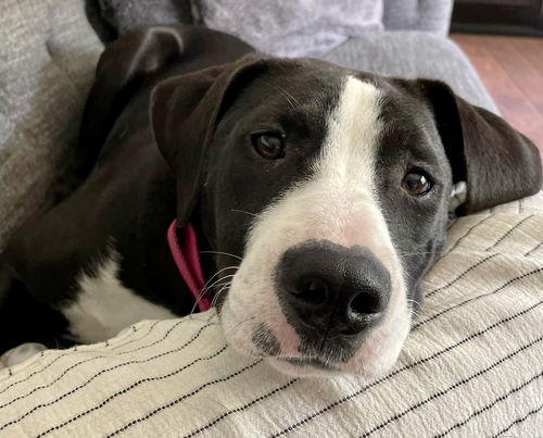 Maggie Shirley *LOCAL* MEET ME!