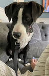 Maggie Shirley *LOCAL* MEET ME!
