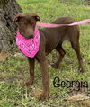 Georgia Brown *LOCAL*