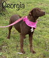Georgia Brown *LOCAL*