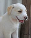 Bailey Kibble *LOCAL*