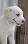Bailey Kibble *LOCAL*