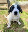 Waylon Luckenbach *LOCAL* MEET ME!