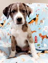 Georgia Houla