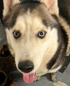 Banjo *LOCAL* MEET ME!