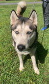 Banjo *LOCAL* MEET ME!