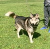 Banjo *LOCAL* MEET ME!