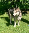Banjo *LOCAL* MEET ME!
