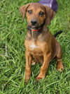 Lainie Bella - MEET ME!