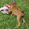 Lainie Bella - MEET ME!