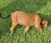 Lainie Bella - MEET ME!