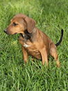 Lainie Bella - MEET ME!