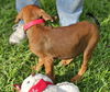 Lainie Bella - MEET ME!