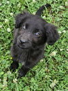 Quinn O'Mally Irish *LOCAL* MEET ME!