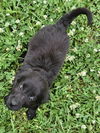 Quinn O'Mally Irish *LOCAL* MEET ME!