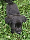 Quinn O'Mally Irish *LOCAL* MEET ME!
