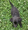 Quinn O'Mally Irish *LOCAL* MEET ME!