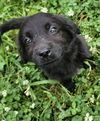 Quinn O'Mally Irish *LOCAL* MEET ME!