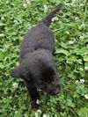 Quinn O'Mally Irish *LOCAL* MEET ME!