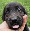 Quinn O'Mally Irish *LOCAL* MEET ME!