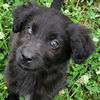 Quinn O'Mally Irish *LOCAL* MEET ME!