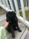 Quinn O'Mally Irish *LOCAL* MEET ME!