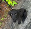 Quinn O'Mally Irish *LOCAL* MEET ME!