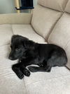 Quinn O'Mally Irish *LOCAL* MEET ME!