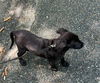 Quinn O'Mally Irish *LOCAL* MEET ME!