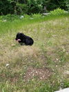 Quinn O'Mally Irish *LOCAL* MEET ME!