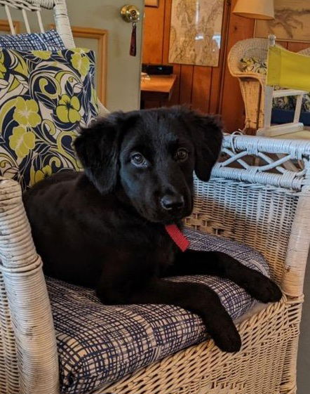 Quinn O'Mally Irish *LOCAL* MEET ME!