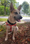 Kynlee Hope *LOCAL*
