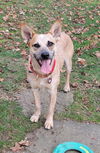 Kynlee Hope *LOCAL*