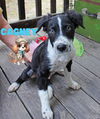 Cagney Detective *LOCAL* MEET ME!