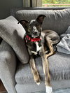 Kaia *LOCAL* - Photo 23