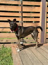 Kaia *LOCAL* - Photo 22