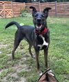 Kaia *LOCAL* - Photo 18
