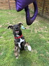 Kaia *LOCAL* - Photo 19