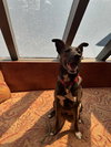 Kaia *LOCAL* - Photo 20
