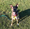 Kaia *LOCAL* - Photo 14