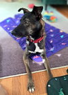 Kaia *LOCAL* - Photo 17