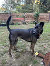 Kaia *LOCAL* - Photo 9