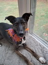 Kaia *LOCAL* - Photo 8