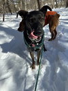 Kaia *LOCAL* - Photo 4