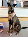 Kaia *LOCAL* - Photo 1