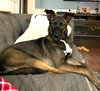 Kaia *LOCAL* - Photo 24