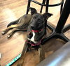 Kaia *LOCAL* - Photo 25
