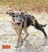 Julie Nursery *LOCAL*